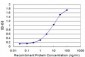 COPB Antibody (monoclonal) (M08)